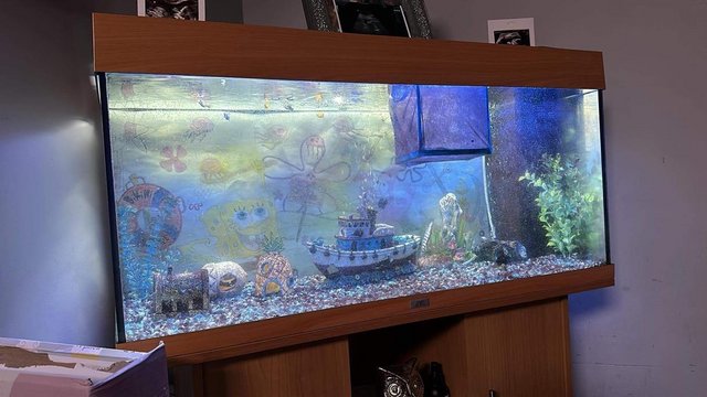 Image 5 of 240ltr fish tank aquarium