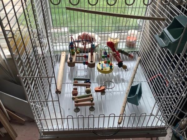 Image 2 of Bird cage, stand and some accessories.