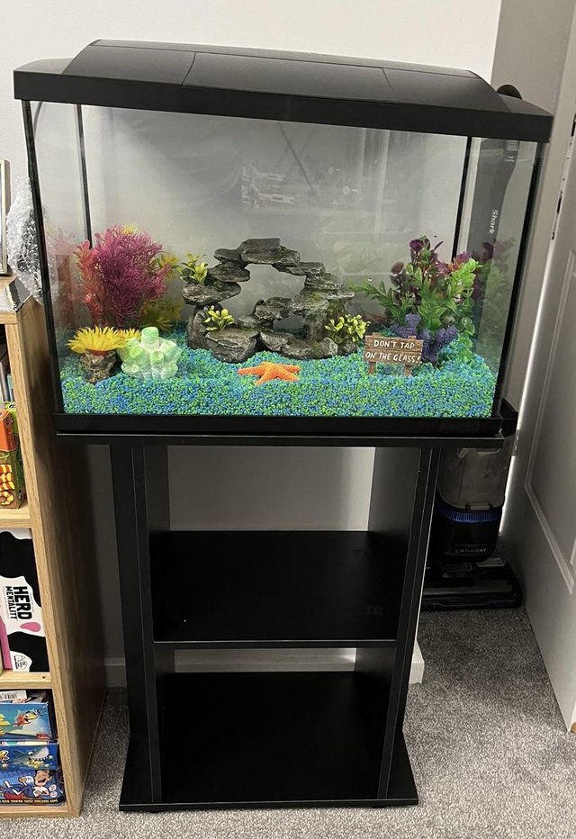 Preview of the first image of 60L fish tank for sale in bridlington.