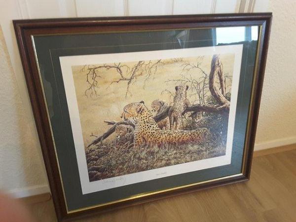 Image 14 of WILDLIFE SIGNED LIMITED EDITION PRINT COLLECTION # FRAMED