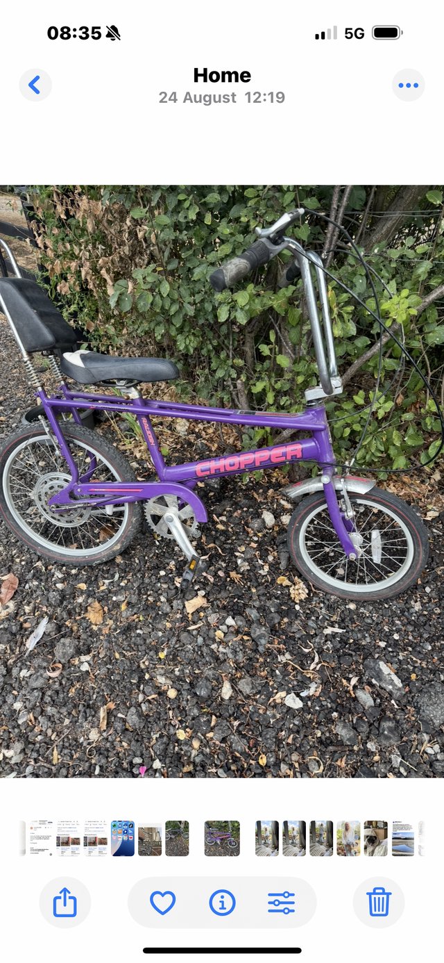Choppers for sale in need of restoration original — photo 2 of 3