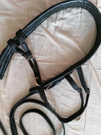 Image 2 of Leather driving harness for small pony ie 11hh +