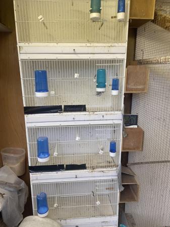 Image 4 of Budgie breeding cages x 4 with nest boxes