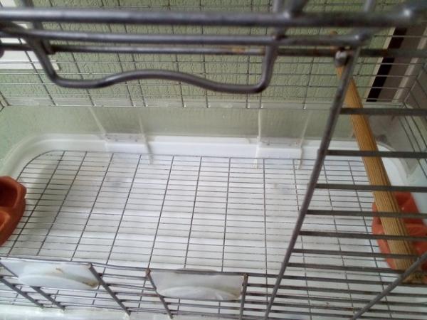 Image 8 of Large Vision bird cage for sale