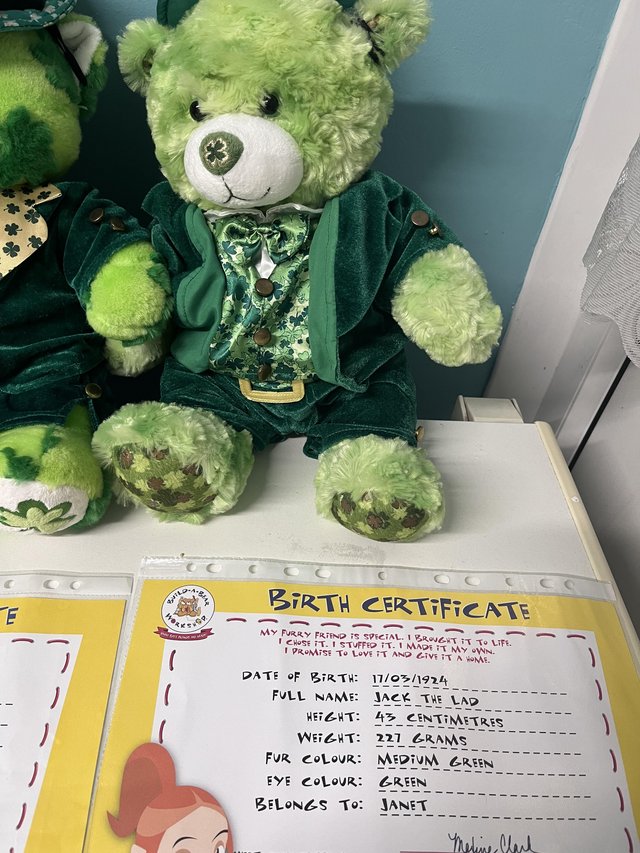 Preview of the first image of Build a bear Irish themed bundle.