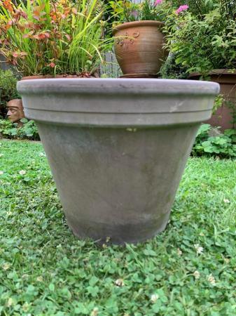 Image 1 of Terracotta garden plant pot