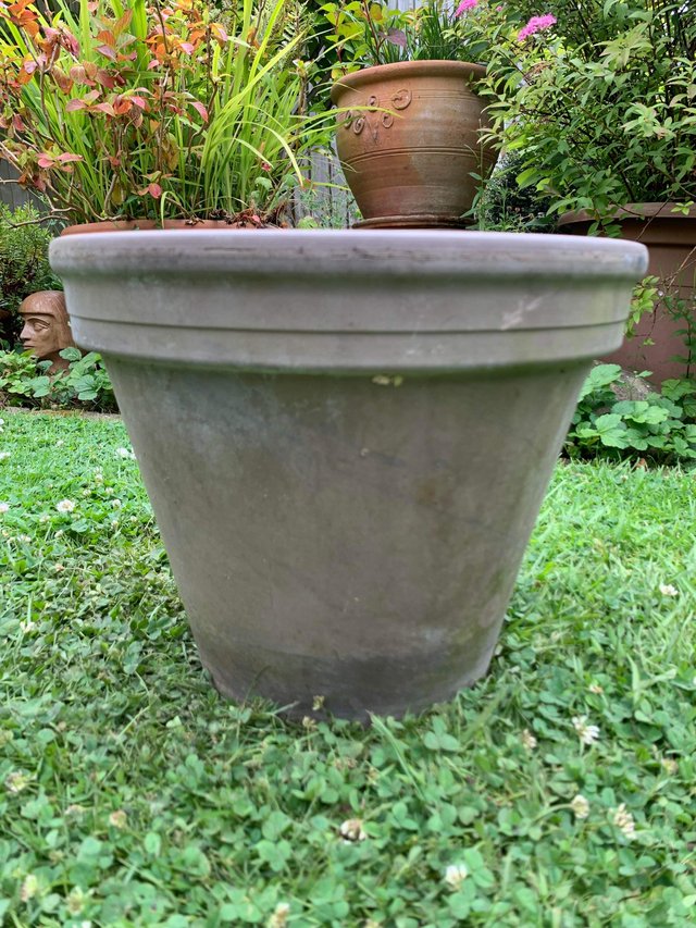Preview of the first image of Terracotta garden plant pot.