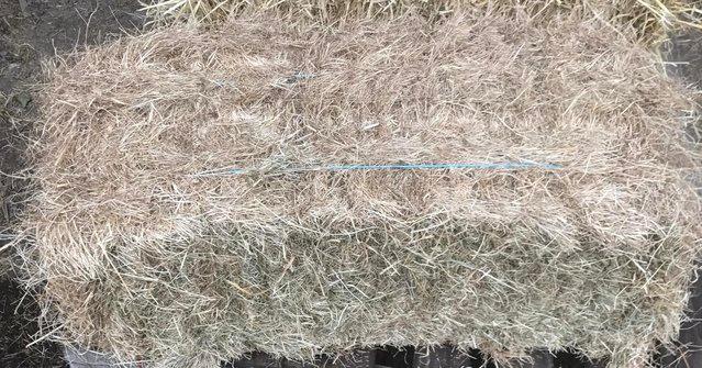 Image 1 of Hay for Rabbits, Guinea Pigs, chickens
