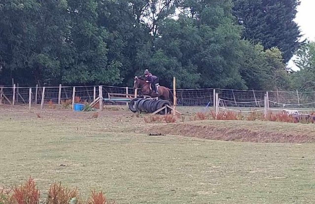 Image 10 of Superb 138 for sale, all round family pony