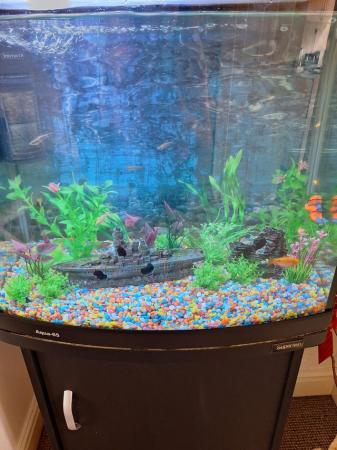 Image 5 of Fish and tank 65 litre and stand