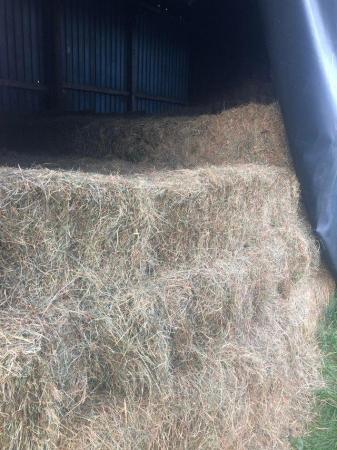 Image 6 of Small traditional meadow hay bales