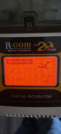 Image 2 of R com pro 20 digital incubator