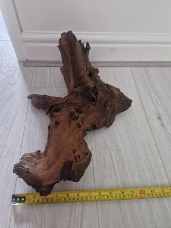 Image 4 of Large piece of bogwood..