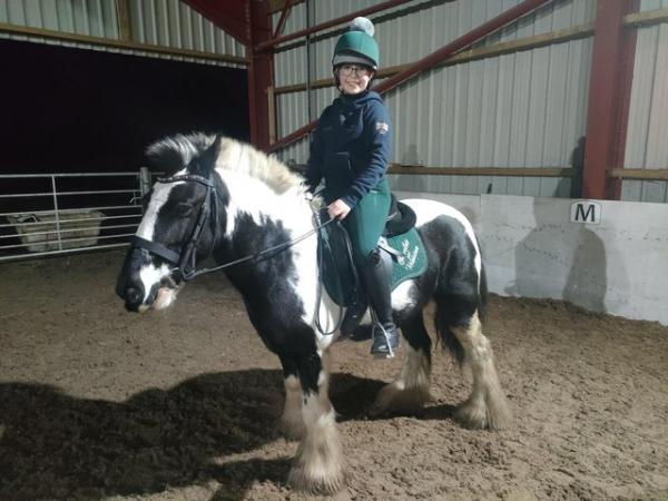 Image 2 of Winston - super pony for part loan!