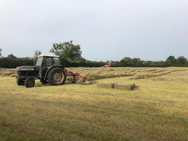 Image 3 of Quality Meadow Hay, £4.00/bale
