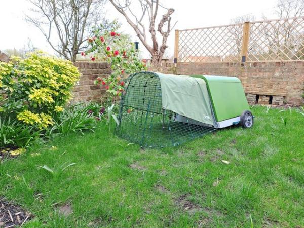 Image 4 of Eglu guinea pig hutch with outdoor run, wheels and cover