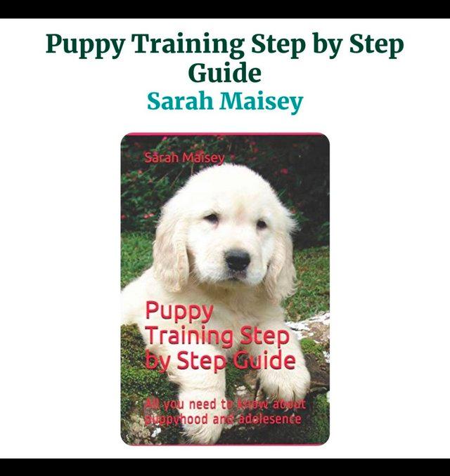 Preview of the first image of Step by step dog training book.