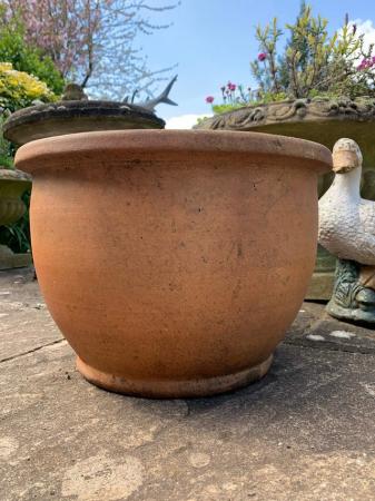 Image 1 of Terracotta garden plant pot