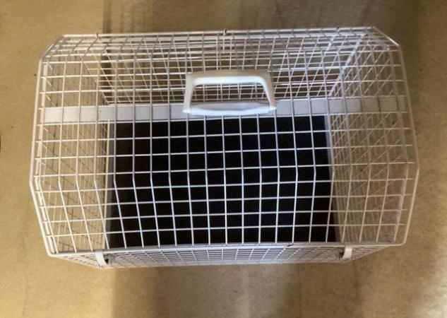 Image 3 of CAT or small DOGsturdy Carrier