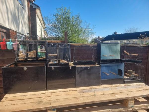 Image 29 of Birds cages for small birds ??  all good condition quick sal