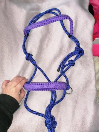 Image 3 of Bitless rope bridle and matching reins