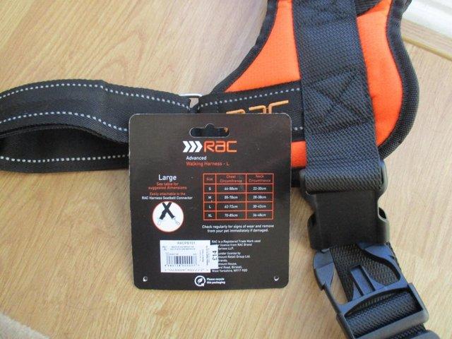 Preview of the first image of RAC ORANGE DOG HARNESS BRAND NEW.