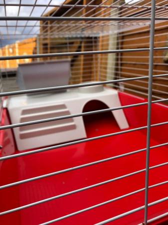 Image 5 of Red Rabbit Cage for sale