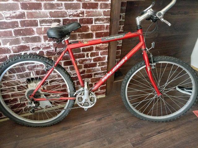 Raleigh tiger shark mountain bike — Sports & Fitness in Colchester