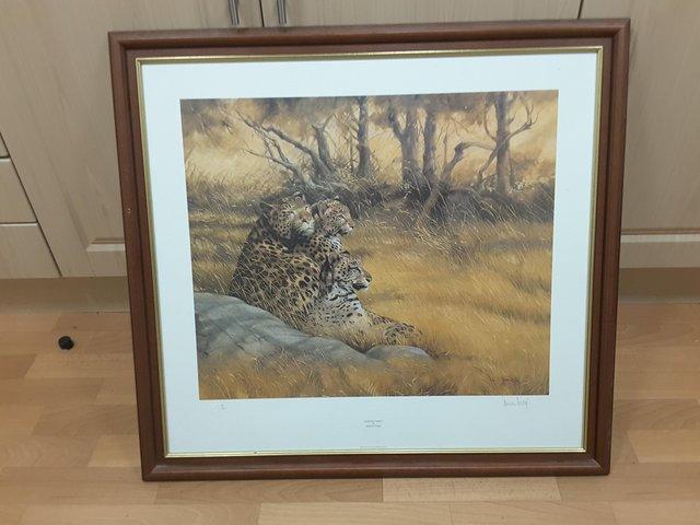 Preview of the first image of SPENCER HODGE LEOPARD FAMILY LIMITED EDITION PRINT.