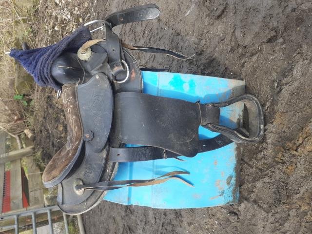 Preview of the first image of child's western saddle.