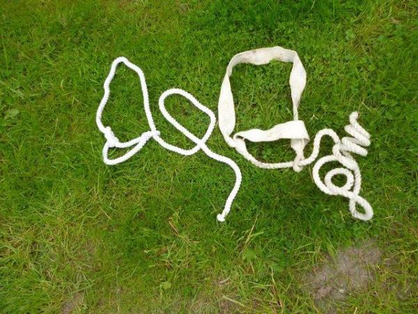 Image 1 of 2 small pony white ropehalters for showing