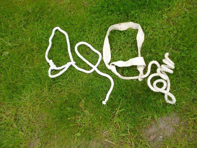 Preview of the first image of 2 small pony white ropehalters for showing.