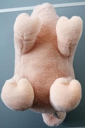 Image 10 of A Medium Sized Keel Simply Soft Pink Plush Pig.