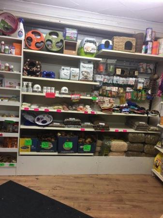 Image 15 of Warrington pets and exotics a fully stocked pet shop/store