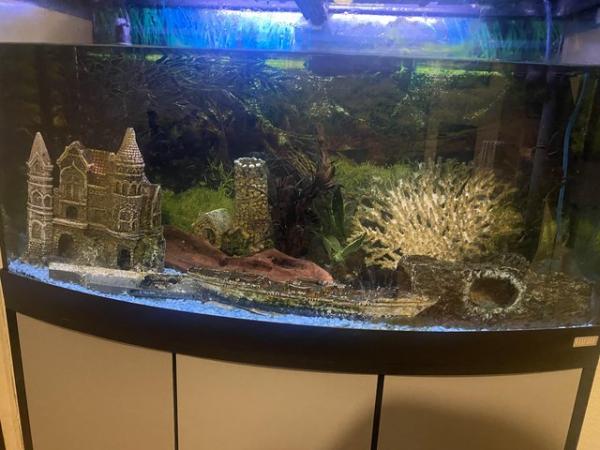 Image 3 of 180L FLUVAL fish tank with external filter and heater