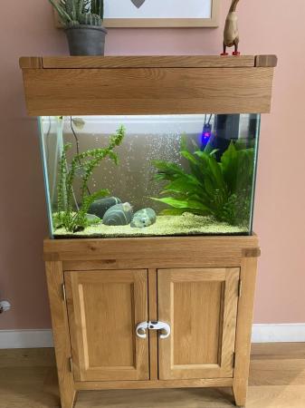 Image 2 of Oak fish tank with fish and accessories