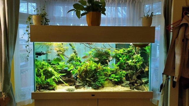 Preview of the first image of 4ft Aquarium Fish Tank for sale freshwater or marine ready.