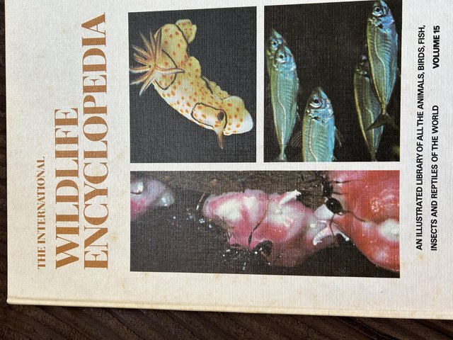Preview of the first image of The international wildlife encyclopaedia.