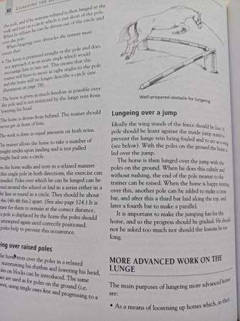 Image 3 of The BHS Manual of Equitation, the training of horse and ride