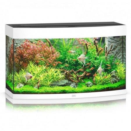 Image 5 of Aquarium / Tank (Vision 180) plus accessories