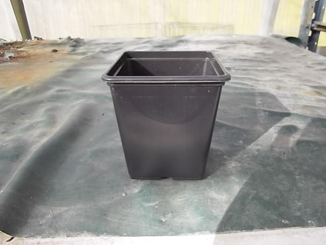 Preview of the first image of Optipot 11M Soft Plastic Growing Pots - 11 cm. Square.