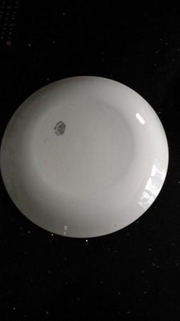 Image 1 of 3 VINTAGE J & G MEAKIN 10 INCH DINNER PLATES REGD SOL 391413
