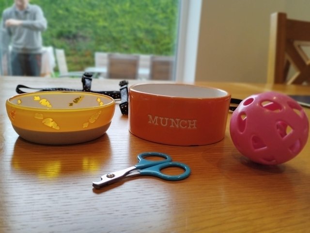 Preview of the first image of Rabbit food and water bowls, nail clippers, toy balland lead.