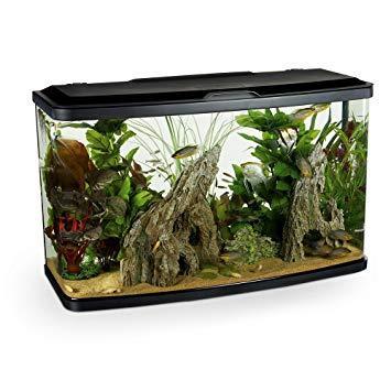 Image 8 of Fish Tanks Available At The Marp Centre
