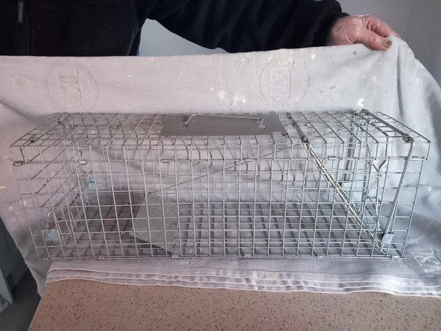 Preview of the first image of Wire metal cage for catching rats/moles.