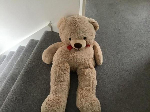 Image 2 of Soft cuddly Teddy Bear in excellent condition