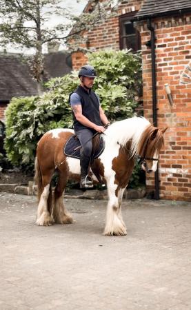 Image 1 of Hartistic Apache 13hh coloured traditional cob gelding