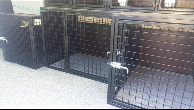 Image 5 of Profesional cages for pet transport
