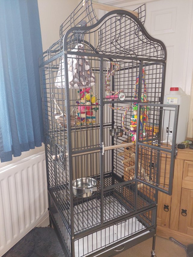 Preview of the first image of Yaheetech Rolling African grey cage. Less than a month old.