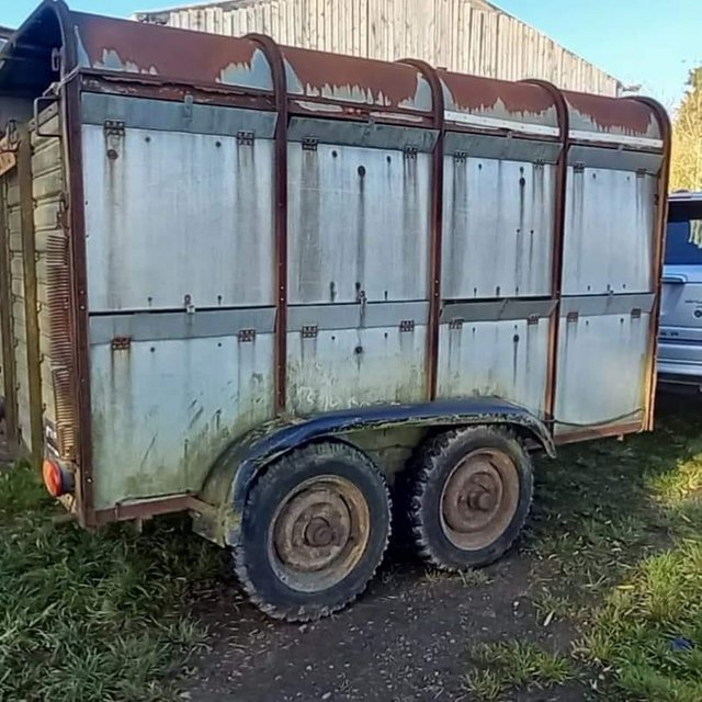Preview of the first image of Ifor williams livestock trailer.